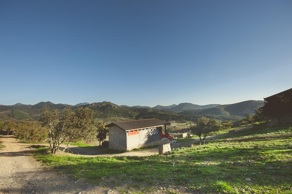 Hostal La Brizna Cañamero Exterior foto